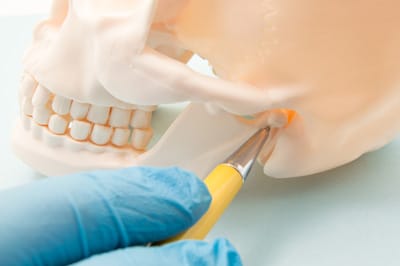Impact of bite on human health - image 7